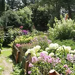 Nocleg ze śniadaniem Domjana 3*