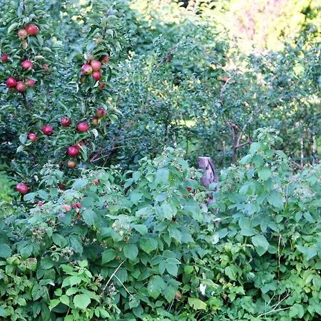 Oda ve Kahvaltı Domjana 3*