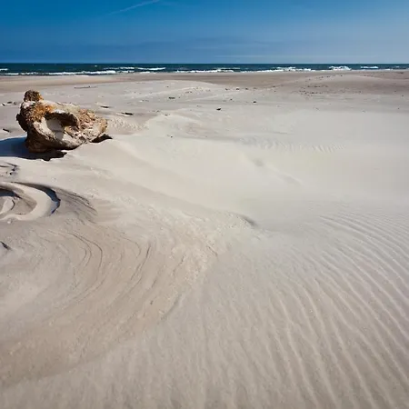 Oda ve Kahvaltı Domjana