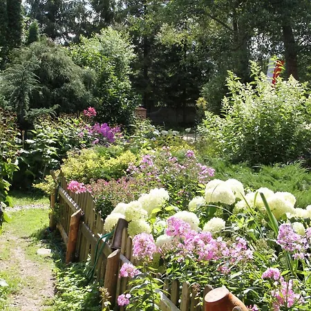 Oda ve Kahvaltı Domjana 3*