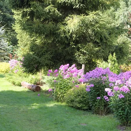 Oda ve Kahvaltı Domjana 3*