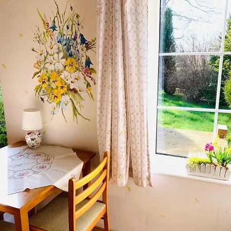 Oda ve Kahvaltı Domjana 3*