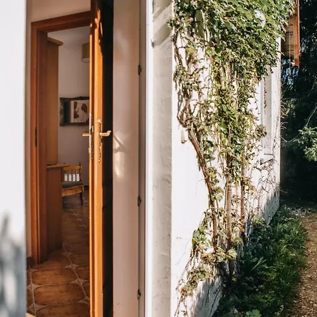 Domjana Bed & Breakfast