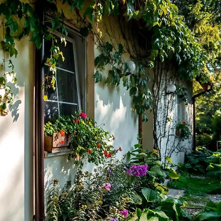 Domjana B&B 3*