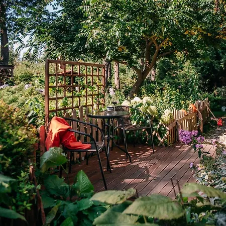 Domjana 3* لوبيتاتو