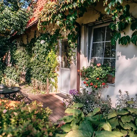 Oda ve Kahvaltı Domjana 3*