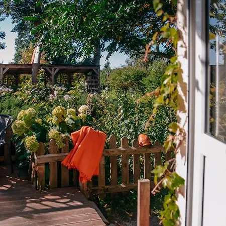 Oda ve Kahvaltı Domjana