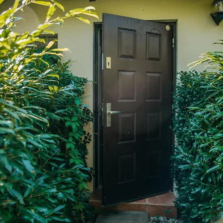 Domjana 3* لوبيتاتو