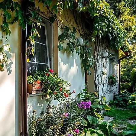 Bed & Breakfast Domjana 3*