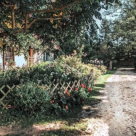 Couette-café Domjana