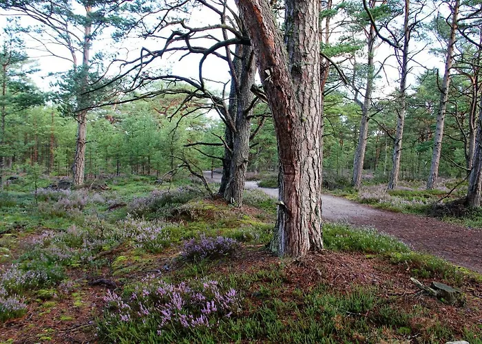 Domjana فندق مبيت وإفطار لوبيتاتو