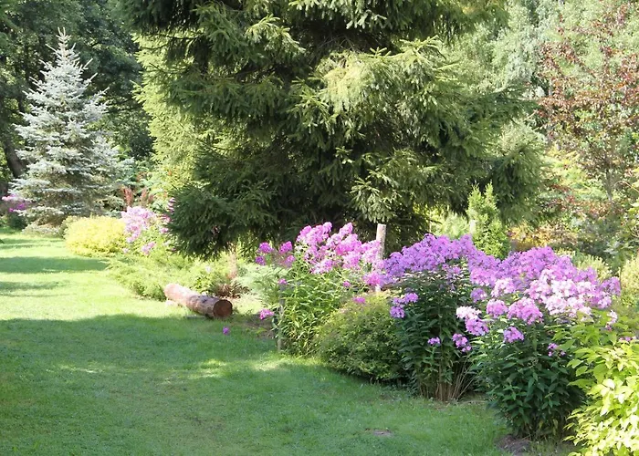 فندق مبيت وإفطار Domjana 3*