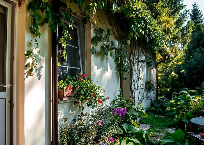 Domjana فندق مبيت وإفطار 3*