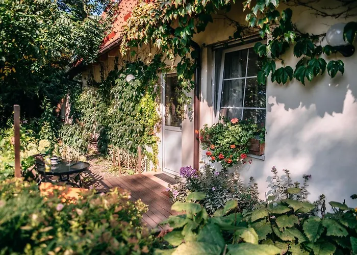 فندق مبيت وإفطار Domjana 3*