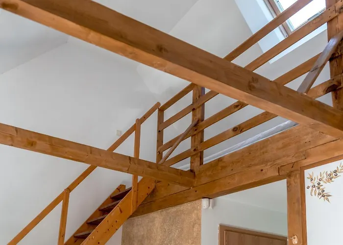 Domjana لوبيتاتو