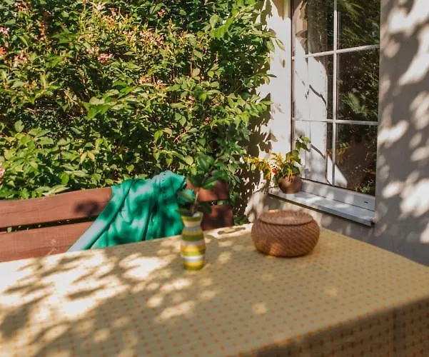 Domjana 3* لوبيتاتو