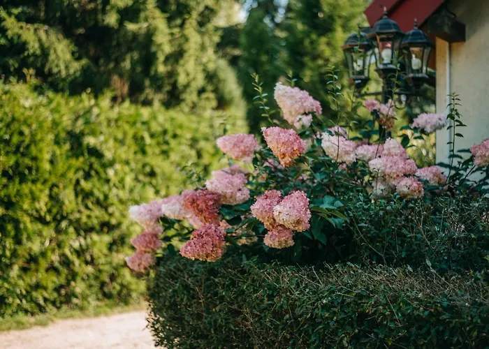 Domjana فندق مبيت وإفطار لوبيتاتو