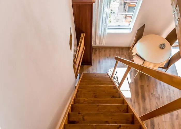 Domjana لوبيتاتو