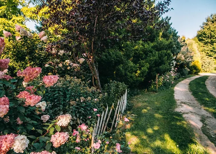 Domjana لوبيتاتو